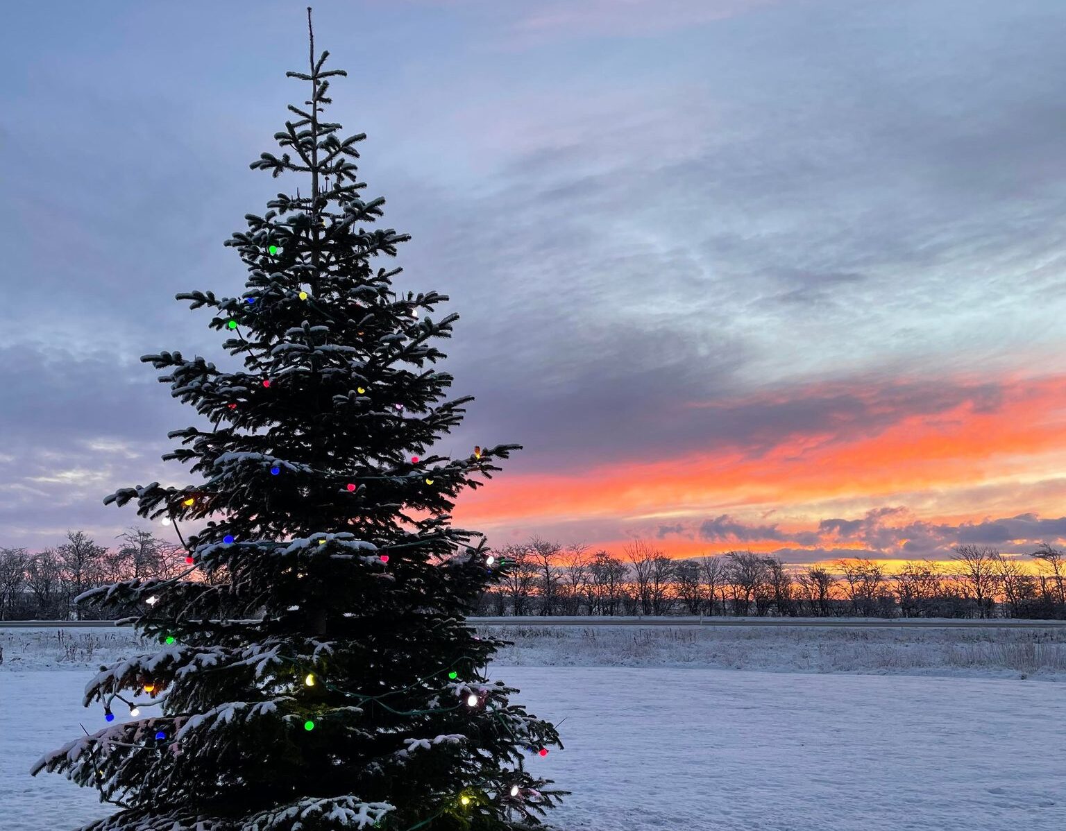 Vi ønsker glædelig jul og godt nytår - Vi holder lukket fra d. 22 dec. 2023 til d. 7 jan 2024